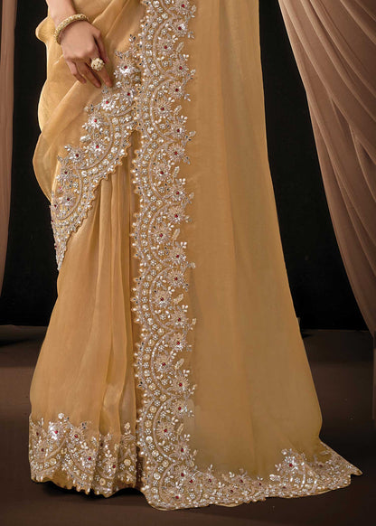 Champagne Organza Tissue Saree