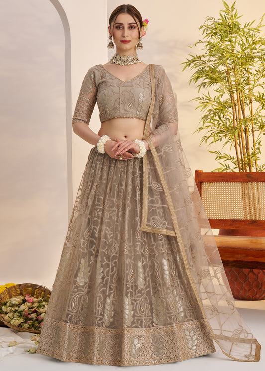 Ash Grey Butterfly Net Lehenga Choli