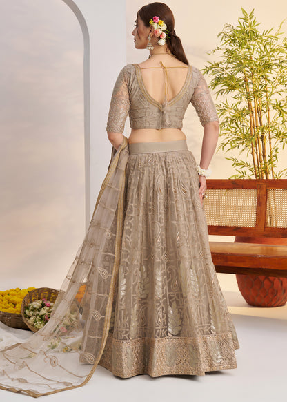 Ash Grey Butterfly Net Lehenga Choli