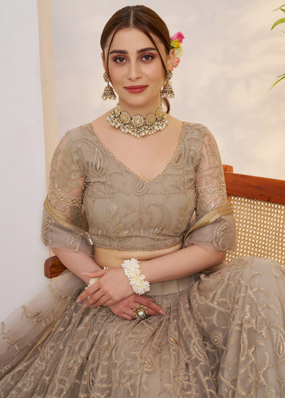 Ash Grey Butterfly Net Lehenga Choli