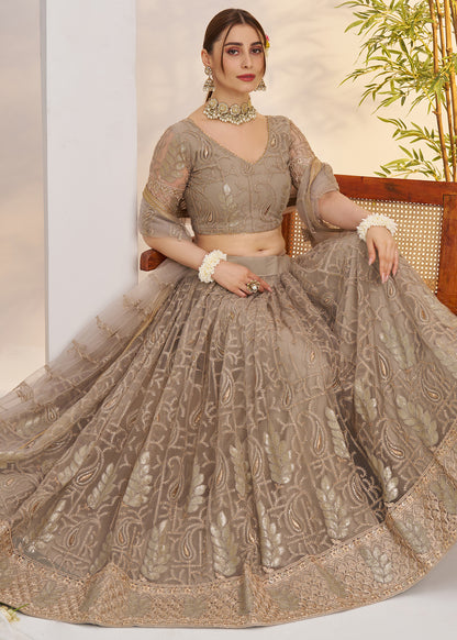 Ash Grey Butterfly Net Lehenga Choli